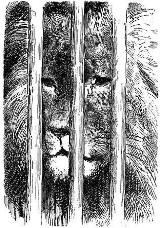 Gustave Dore: Lion