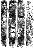 Gustave Dor&eacute;: Lion
