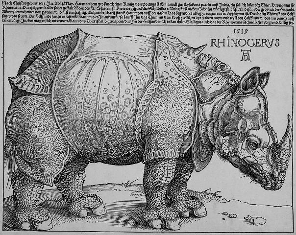 http://www.artcyclopedia.com/images/durer-rhinoceros.jpg