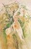 Morisot: The Cherry Tree